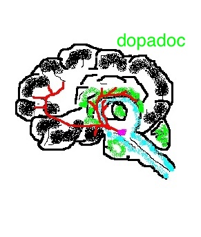 Logo of DopaDoc, featuring stylized text and design elements in the shape of a brain, symbolizing their focus on Parkinson's disease management and patient care.